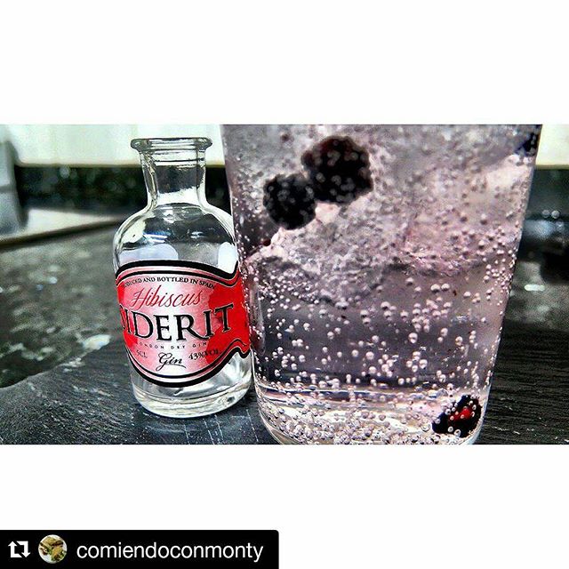  #Repost @comiendoconmonty with @repostapp・・・Al rico gintonic.#siderit #hibiscus #gin #gintonic #tonic #tonica #moras #drinks #cocktails #combination #combinado #combinados