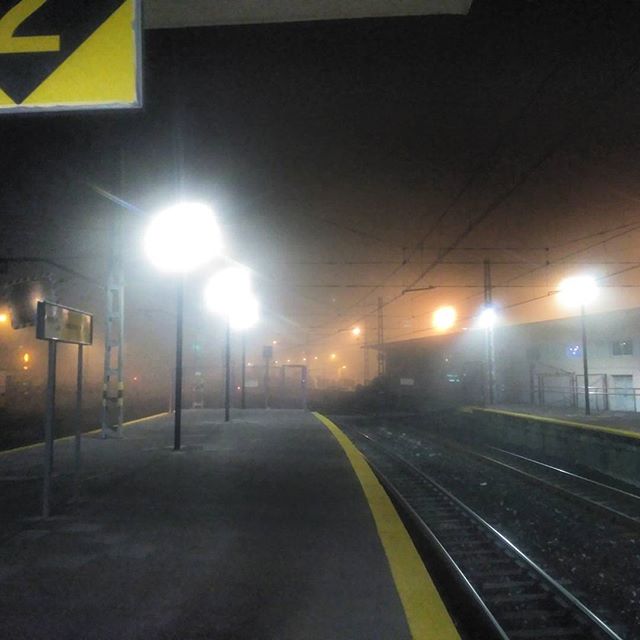  La niebla#niebla #fog #tren #train