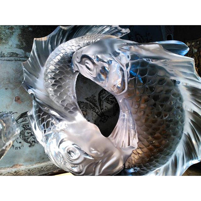  La pescadilla que se muerde la cola#decoracion #cristal #deluz #Santander #indoor