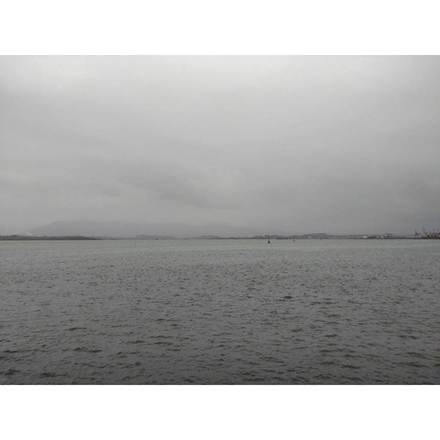  Gris como el día