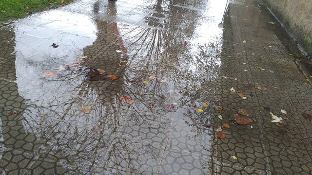 Todo es cuestión de reflejos