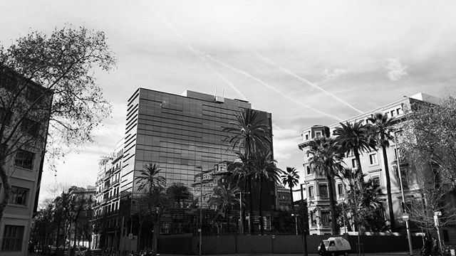  Reflejos. Día 7 . Reto Blanco y Negro