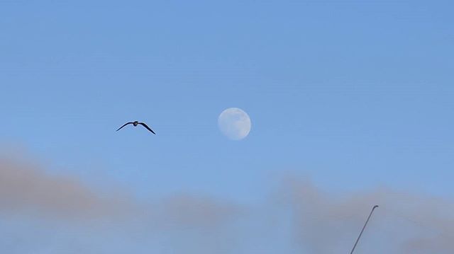 Volando a la luna