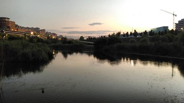 Atardecer en el Parque