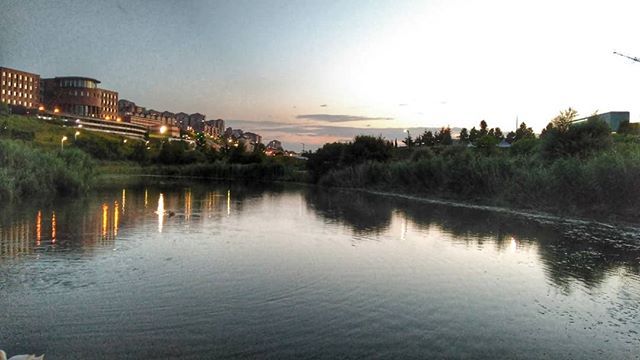 Cuando pillas una luz bonita